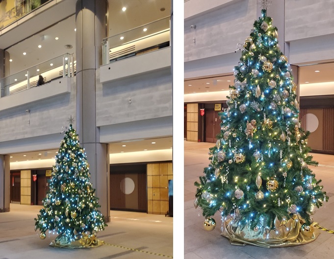 ブログup ミューザ川崎のクリスマスツリー 11 27更新 ブログup ミューザ川崎のクリスマスツリー 川崎 新川崎 鹿島田の賃貸は第一ハウジング株式会社にお任せ下さい ブログup ミューザ川崎のクリスマスツリー 11 27更新 ブログup ミューザ川崎のクリスマスツリー 川崎 新川崎 鹿島田の賃貸は第一ハウジング株式会社にお任せ下さい